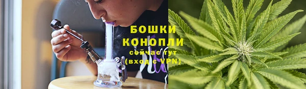тгк Богданович