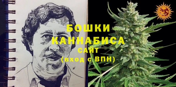 тгк Богданович