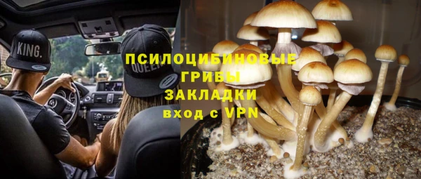 прущие крисы Богородск