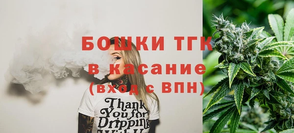 тгк Богданович
