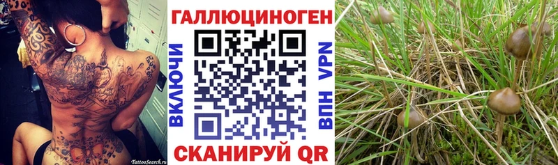 наркота  Дудинка  Галлюциногенные грибы Magic Shrooms 